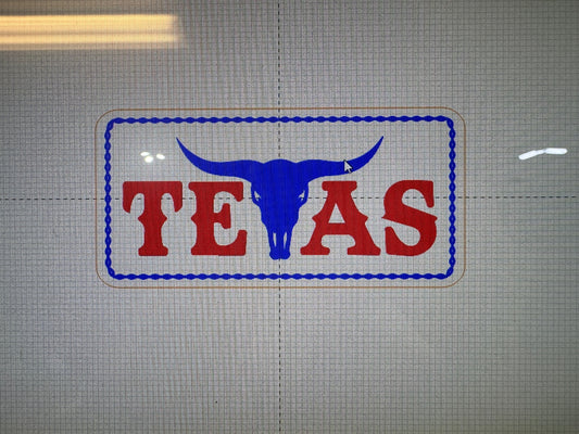 Texas Bull