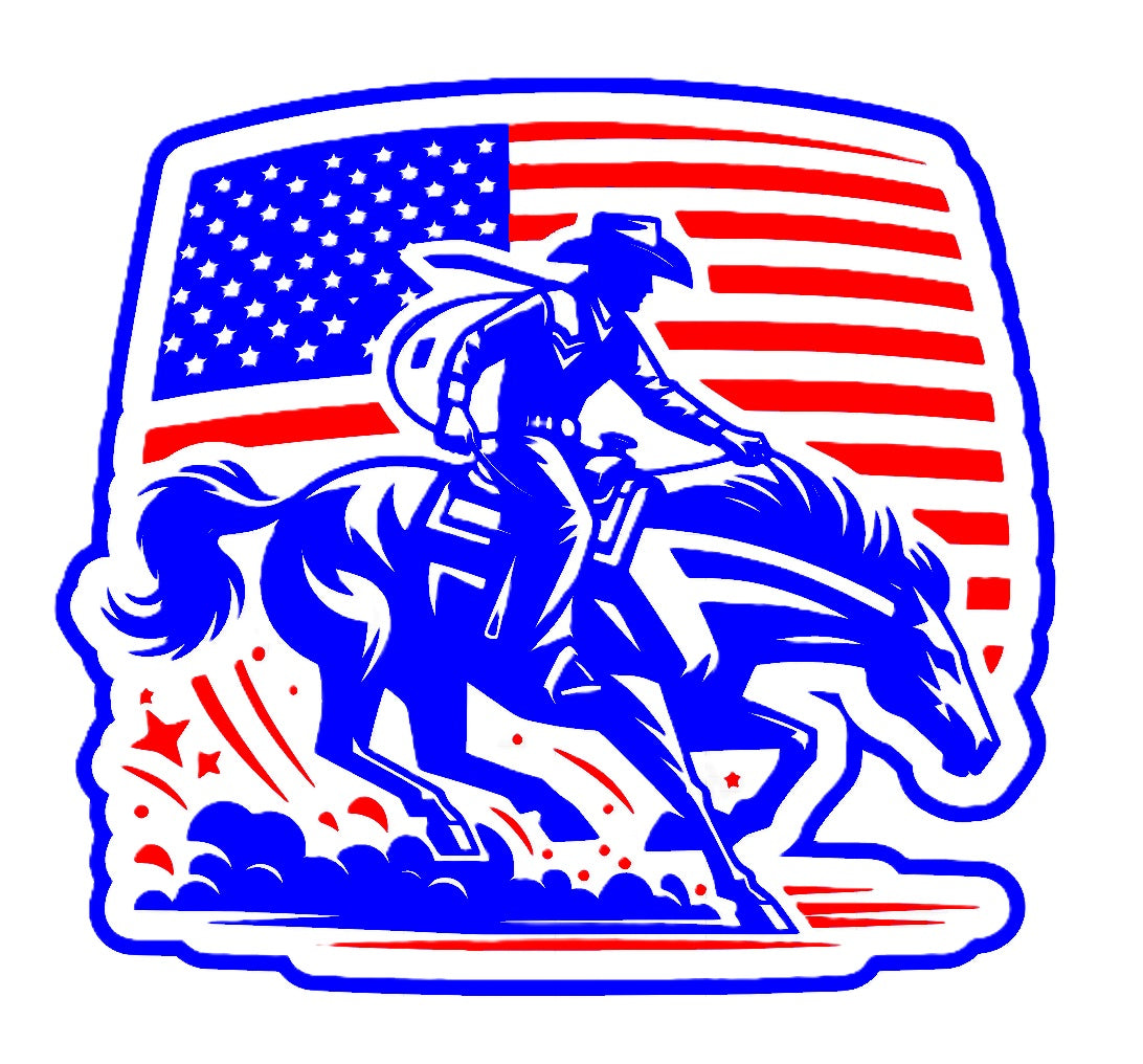 Rodeo Flag 2